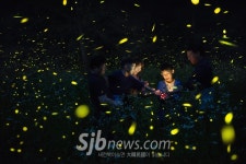 `무주반딧불축제로 오세요