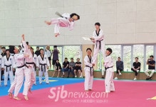 태권도 문화페스티벌 결선 태권도원 특설무대서 펼쳐진다