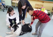 원광대 김옥진 교수 연구팀, 동물교감교육 연구 성과 확산 사업 수행