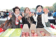 사과골 무풍면민의 날