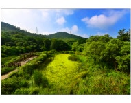 고창군, `람사르습지도시 국제인증 신청