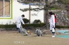 정읍 상교동, 코로나19 확산 방지 자율방역 활동 강화