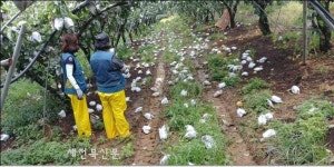 동김제농협, 2019년 NH농협 손해보험 연도대상 수상