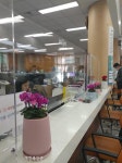 고창군 ‘동네 꽃집도 돕고 사무실도 밝게!