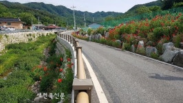 무주군 안성면 여우내천 안전하고 아름다운 소하천 가꾸기 공모전 우수상