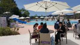 친환경 야외수영장 고창상하농원에서 개장