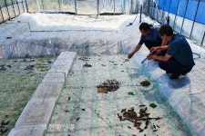 무주군 애반딧불이 사육농가 육성