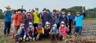 김제시 죽산면, 연말 김장나눔에 쓰여질 배추와 무 식재