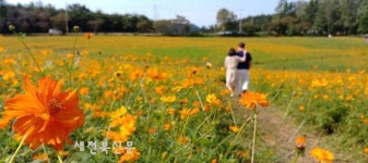 전북혁신도시 세금, 도-전주시-완주군 독식