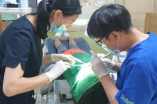 순창군, 드림스타트 아동 구강 치료비 지원