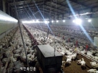 정읍시, AI 확산방지 안간힘…방역 강화