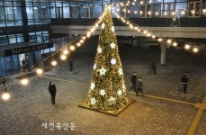 장수군, 희망 담은 크리스마스 트리