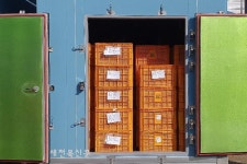 무주농협 친환경유통사업단 CA 저장고에 사과입고