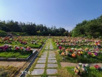 익산시, 설 연휴 특별방역 ‘공원묘지’ 폐쇄