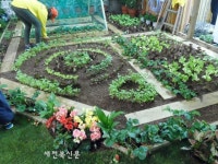 정읍시, 도시농업 발전을 이끌어 나갈 도시농업관리사 양성