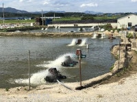 정읍시, 내수면 양식 어가 바우처 지원