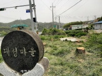 경관개선에 조경수 `싹둑…지역주민 반발