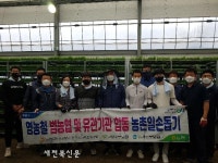 농협 군산시지부, 영농철 농촌일손돕기 총력