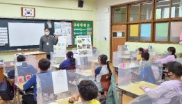 고산농협, 서울시 초등학생 대상 친환경 벼 모내기 행사