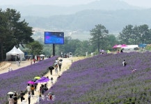 정읍시, 정읍허브원 인근에 대형 전광판 설치...정읍의 매력 담은 영상 송출