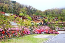 진안 데미샘 휴양림 숙박예약