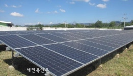 우후죽순 태양광 설치에 골머리 앓는 지자체