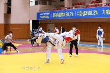 제33회 전라북도지사배태권도대회 성황리에 막내려