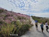 완주군, “환상의 만경강길 등 27개 코스 뚜벅뚜벅 걸어보세요”