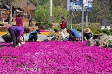 무주군 설천면 주민자치위원회 청결한 마을 만들기