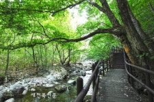 무주군 구천동 어사길 탐방로 복원사업 마무리