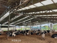 고창군, 폭염 속 건설현장·축산농가 피해예방