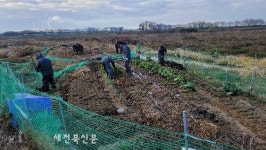 완주군, 만경강 무단경작지 행정대집행