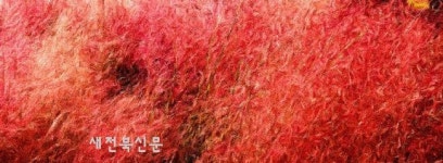 사진과의 여행, 25년만에 첫 개인전