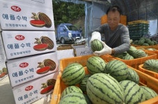 장수군, 농업기술시범 36개 사업에 45억 투입