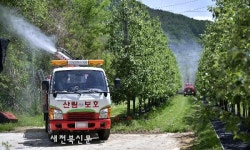 장수군, 과수 화상병 예방 방제약제 지원
