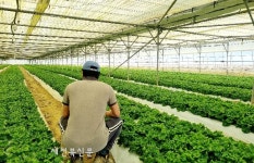 외국인 노동자 보내준다더니…