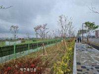 익산시, 목천로 초록빛 맞이 공간으로 ‘새단장’