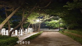 익산 배산공원 새단장, 자연과 어우러진 ‘빛의 향연’