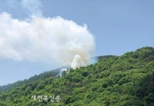 무주군 적상면 야산서 불