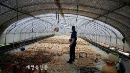 김제 봉남파출소, 빈집 절도예방순찰활동에 주민칭송 자자