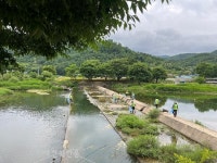 전북지방환경청, 장마철 집중호우 대비 정자천 정화활동