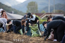 진짜 농활은 ‘가을’…농촌으로 떠난 대학생