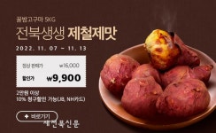 김제산 꿀밤고구마 50% 할인
