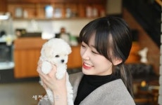 파라다이스펫, 천안점 신규 오픈 및 홈페이지 리뉴얼