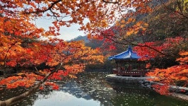 사계절 아름다운 내장산국립공원, ‘한국 관광 100선’ 선정