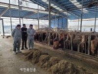 ‘선진 축산 자긍심’...전북 동물복지, 전국 최고