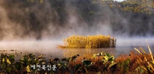 전북환경청, 운곡·월영 습지 사진공모전 수상작 발표