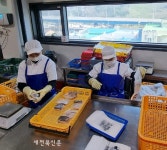 군산시, 새만금 수산식품 수출가공 종합단지 민간기업체 모집