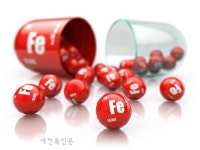 함께 먹으면 좋은 철분제와 비타민C, 영양제 선택 팁
