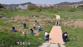 고창읍, 고창천 대청소